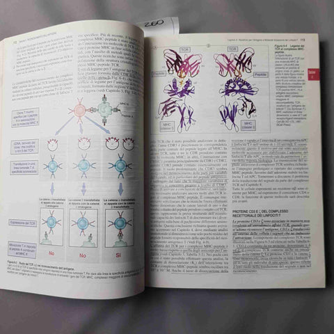 IMMUNOLOGIA CELLULARE E MOLECOLARE - ABBAS LICHTMAN POBER - PICCIN - 260