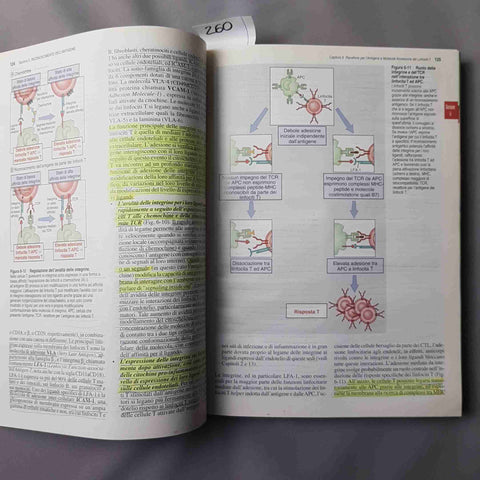 IMMUNOLOGIA CELLULARE E MOLECOLARE - ABBAS LICHTMAN POBER - PICCIN - 260