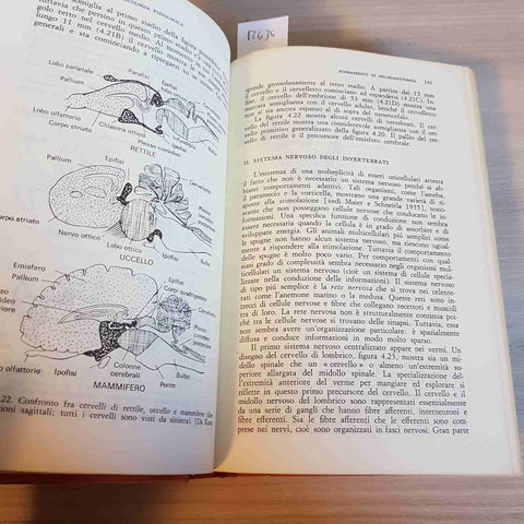 FONDAMENTI DI PSICOLOGIA FISIOLOGICA - RICHARD F. THOMPSON - IL MULINO - 1976