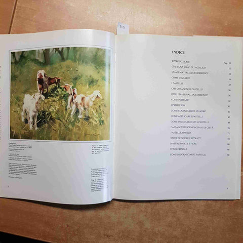 PASTELLI E COLORI ACRILICI i manuali dell pittore RONALD PEARSALL melita