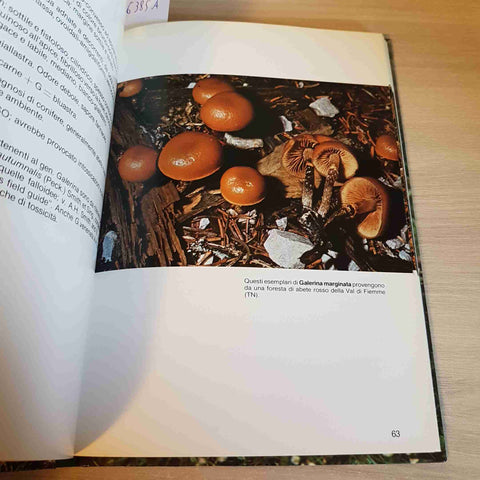 FUNGHI VELENOSI botanica AZZARETTI, GALLI - LA TIPOTECNICA - 1983