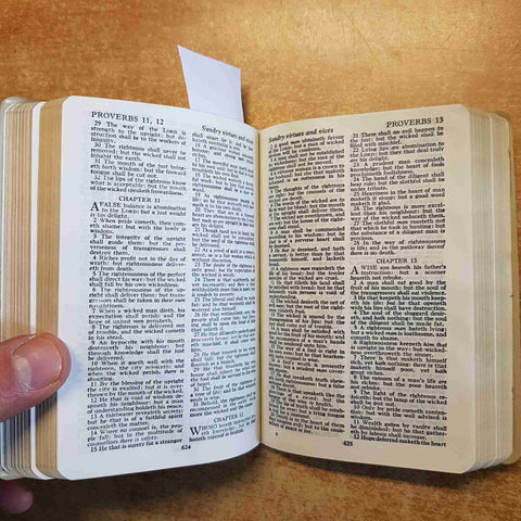 THE HOLY BIBLE old and new testaments H.R.H. PRINCE OF WALES LADY DIANA SPENCER