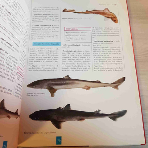 RICONOSCERE E CUCINARE I PESCI DI MARE E D'ACQUA DOLCE - DE AGOSTINI - 1993