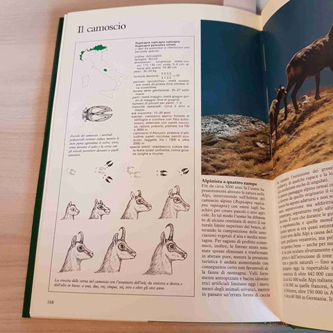 I MAMMIFERI GUIDA A TUTTE LE SPECIE ITALIANE TENUCCI 1988 DEAGOSTINI / CARLI