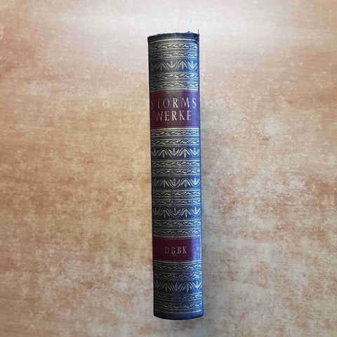 THEODOR STORM - STORMS WERKE in einem band 1955 DIE BERGLAND BUCH KLASSIKER