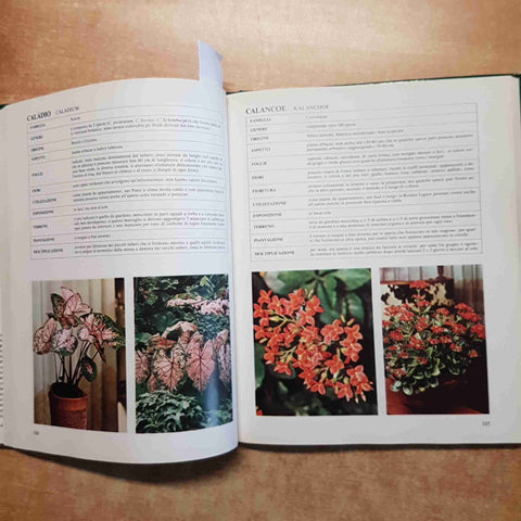 MANUALE DI GIARDINAGGIO SCEGLIERE E COLTIVARE Gigliola Magrini 1992 FABBRI