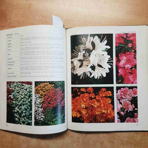 MANUALE DI GIARDINAGGIO SCEGLIERE E COLTIVARE Gigliola Magrini 1992 FABBRI