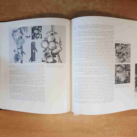 STORIA DELL'AGRICOLTURA ITALIANA 1976 con cofanetto BNA agraria cascine