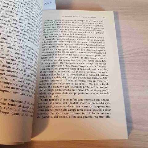 IL DECLINO DELL'UOMO - KONRAD LORENZ - MONDADORI - 1985