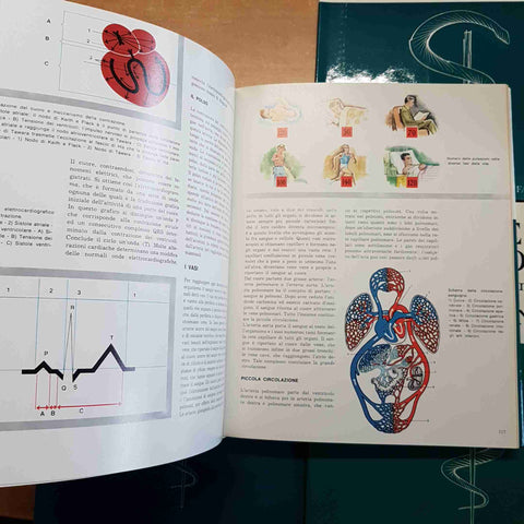 ENCICLOPEDIA MEDICA PER LA FAMIGLIA MODERNA 4 volumi BEER-POITEVIN Confalonieri