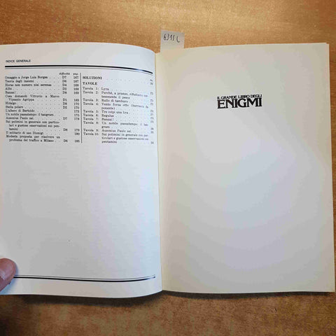 IL GRANDE LIBRO DEGLI ENIGMI problemi insoliti rompicapo PARMEGGIANI SANTELIA