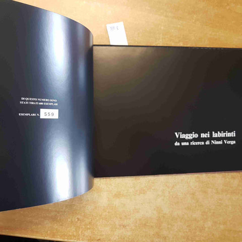 VIAGGIO NEI LABIRINTI DA UNA RICERCA DI NINNI VERGA 1990 Flavio Boria R.U.D.