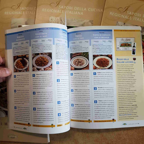 I SAPORI DELLA CUCINA REGIONALE ITALIANA I PRIMI PIATTI 6 volumi SORRISI CANZONI