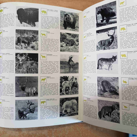 LA CACCIA DALLA PREISTORIA AI GIORNI NOSTRI 1° edizione MONDADORI 1975 venatoria