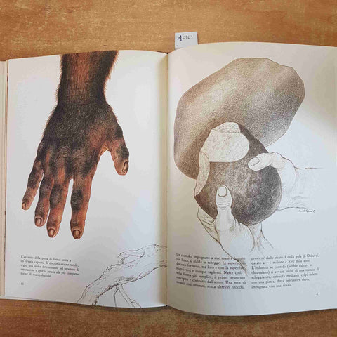 HOMO SETTANTA MILIONI DI ANNI FA Carlo Ranzi 1982 RIZZOLI - PALEONTOLOGIA