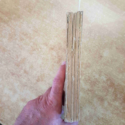 LES VEILLEES DE CHASSE PAR LE CAPITAINE MAYNE REID 1867 HACHETTE 43 vignettes