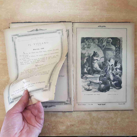 FAVOLE DI ESOPO COMPILATE DA ONORATO ROUX 1887 EDOARDO PERINO parte I + parte II
