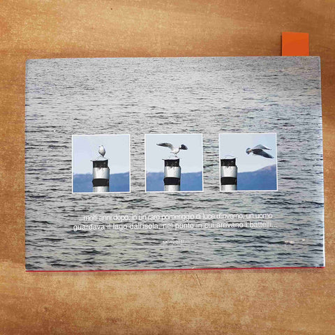 L'ISOLA E LA TERRA IMMAGINI DEL LAGO D'ORTA Walter Zerla FOVANNA 1998 OCABLU