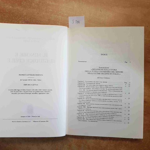 IL MINORE E IL GIUDICE CIVILE - CAMPANATO, ROSSI 2000 CEDAM