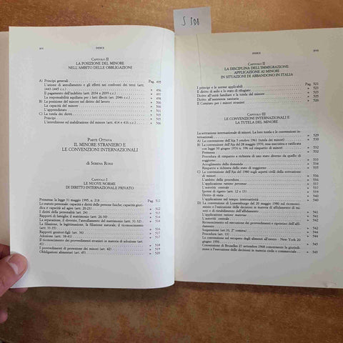 IL MINORE E IL GIUDICE CIVILE - CAMPANATO, ROSSI 2000 CEDAM
