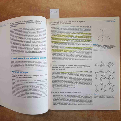BIOLOGIA - G. CHIEFFI 1996 ANTONIO DELFINO EDITORE - EVIDENZIATO E SOTTOLINEATO
