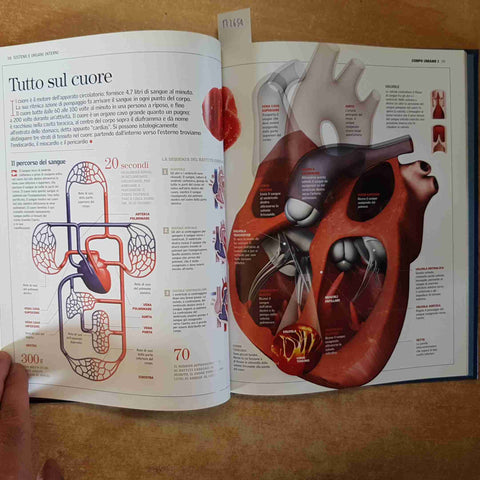 SCIENZA ILLUSTRATA PER RAGAZZI volume 1 CORPO UMANO 2009 REPUBBLICA BRITANNICA