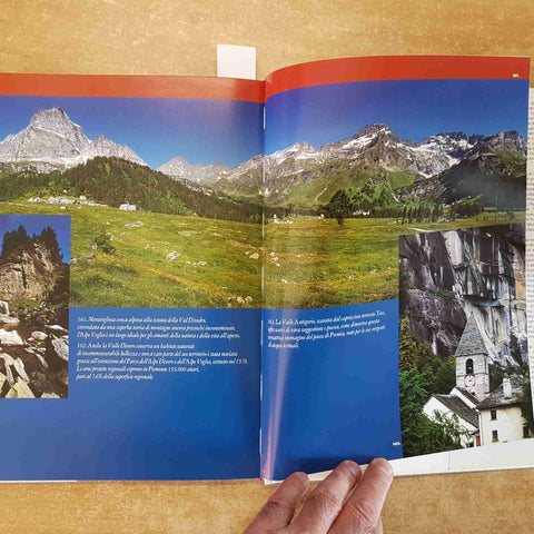 BUONGIORNO PIMEONTE - MASSIMO GRAMELLINI FUSARO 2004 PRIULI VERLUCCA LA STAMPA