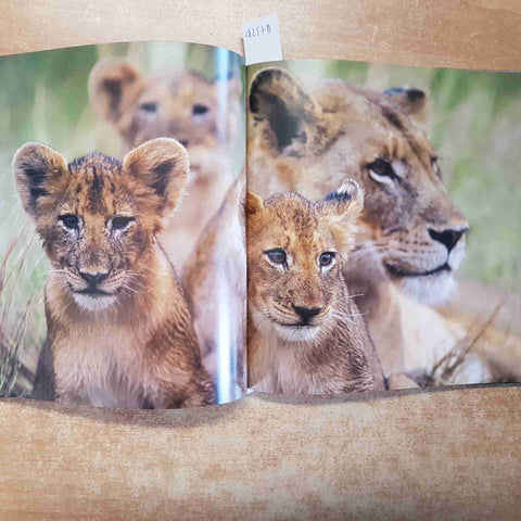 ATLANTE DEGLI ANIMALI - IL LEONE E IL MONDO DELLA SAVANA corriere della sera