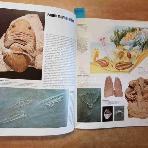 ATLANTE DELLA PREISTORIA - ARDUINI TERUZZI 1982 VALLARDI una guida illustrata