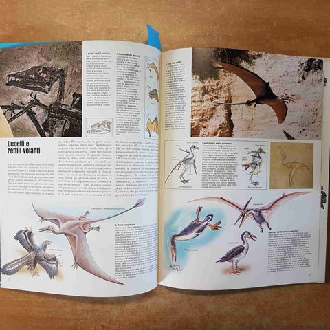 ATLANTE DELLA PREISTORIA - ARDUINI TERUZZI 1982 VALLARDI una guida illustrata