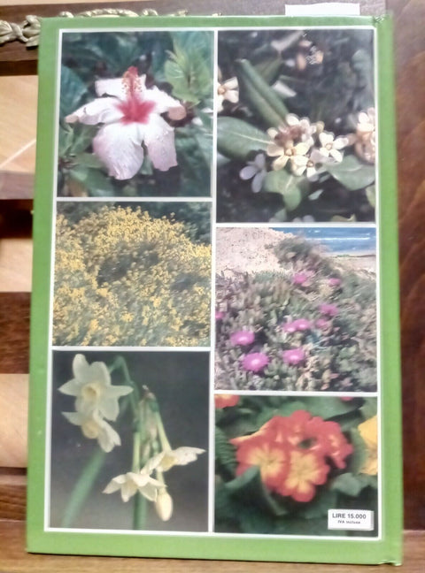 FIORI E PIANTE IN LIGURIA PER ARREDARE BALCONI TERRAZZI 1992 IL SECOLO XIX(