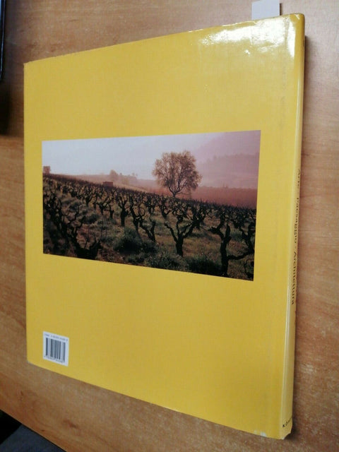 CATALOGNA ARTE, PAESAGGIO, ARCHITETTURA 2001 BORNGASSER BARBARA KONEMANN (5