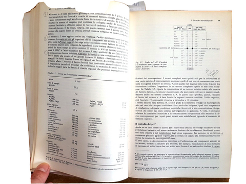IL MONDO DEI MICRORGANISMI - STANIER, DOUDOROFF, ADELBERG - 1981 ZANICHELLI