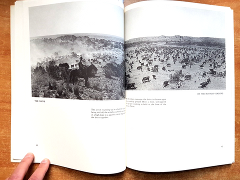 LIFE ON THE TEXAS RANGE - photographs by Erwin E. Smith 1994 Evetts Haley (