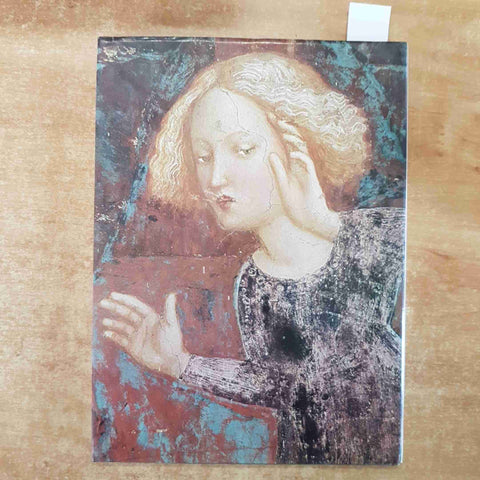 IMMAGINI DI CASTIGLIONE OLONA - CARIPLO - 1976 - Cattaneo VARESE VENEGONO (
