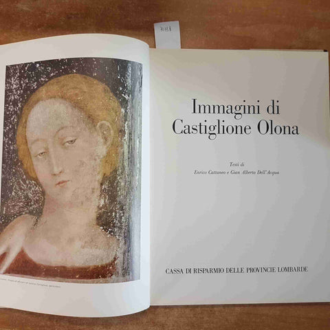 IMMAGINI DI CASTIGLIONE OLONA - CARIPLO - 1976 - Cattaneo VARESE VENEGONO (