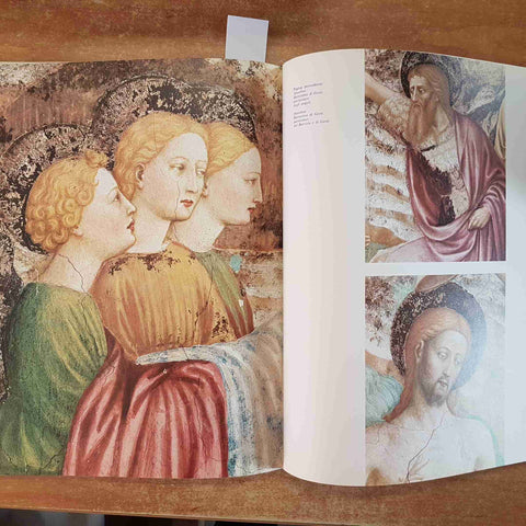 IMMAGINI DI CASTIGLIONE OLONA - CARIPLO - 1976 - Cattaneo VARESE VENEGONO (