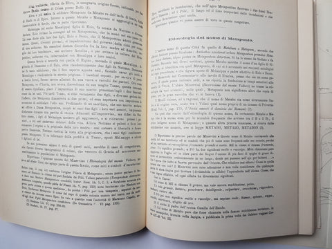 TOPOGRAFIA E STORIA DI METAPONTO 1891 Michele Lacava ANASTATICA 1973 con cartina