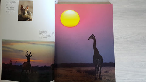 DISCOVER BOTSWANA 2011 a photographic journey OKAVANGO SELINDA MAUN SAVUTE BOTET