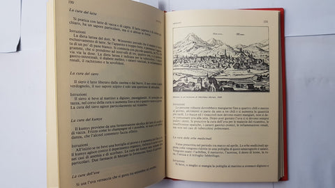 IL TRENTINO ALTO ADIGE una regione sconosciuta DAL LAGO LOCHER 1985 NEWTON 1ED.