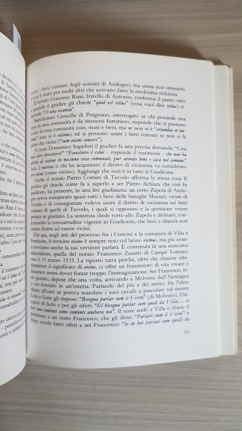 SAONE E LE GIUDICARIE - MARCHIORI SCALFI - CENTRO STUDI JUDICARIA 1991 TIONE