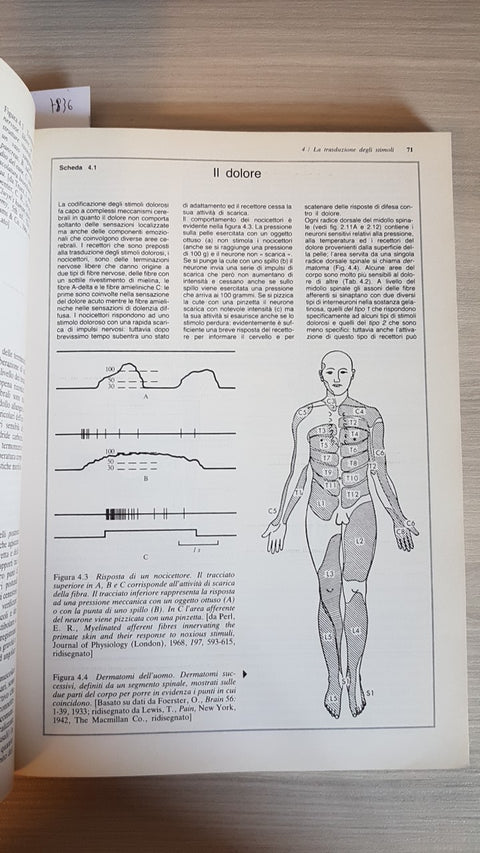 BIOLOGIA E COMPORTAMENTO - OLIVERIO - ZANICHELLI - 1982