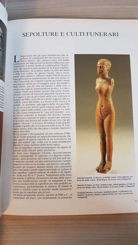 MUSEO EGIZIO - ROVERI - BARISONE EDITORE