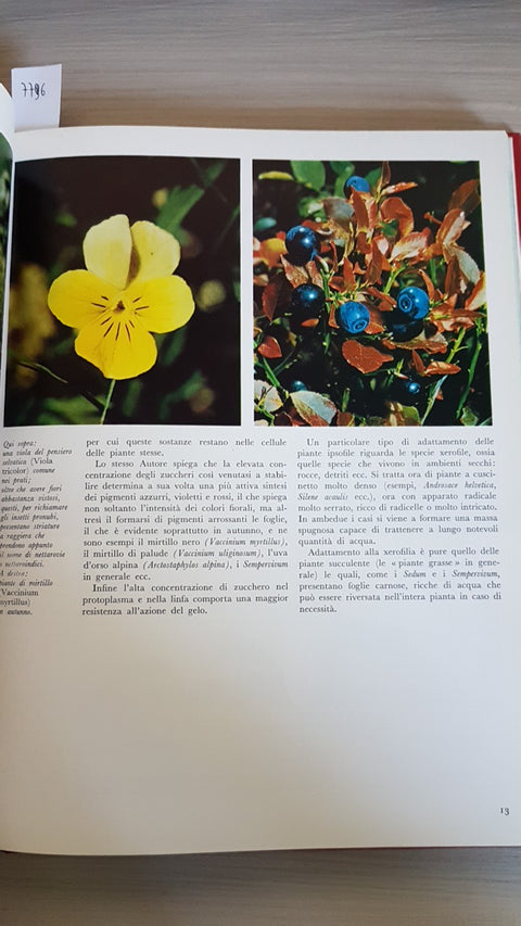 FLORA ALPINA meraviglie della natura  UBERTO TOSCO - DE AGOSTINI - 1978