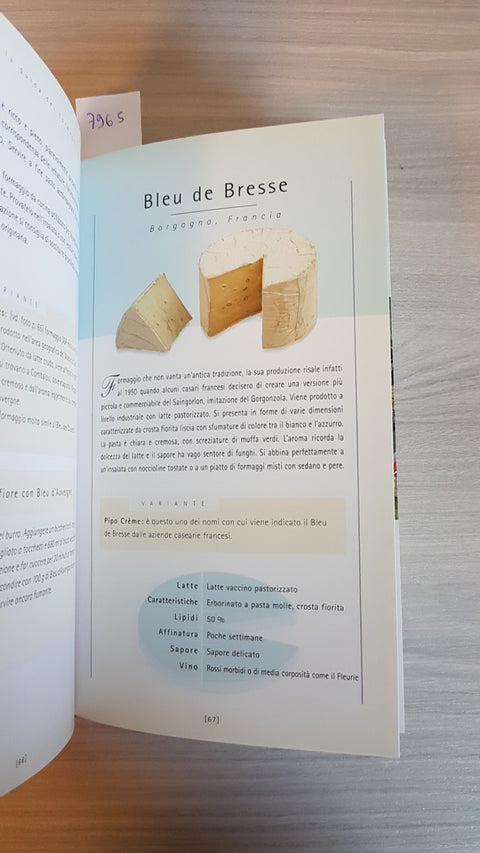 FORMAGGI guida ai formaggi di tutto il mondo RIDGWAY - IDEALIBRI - 2002