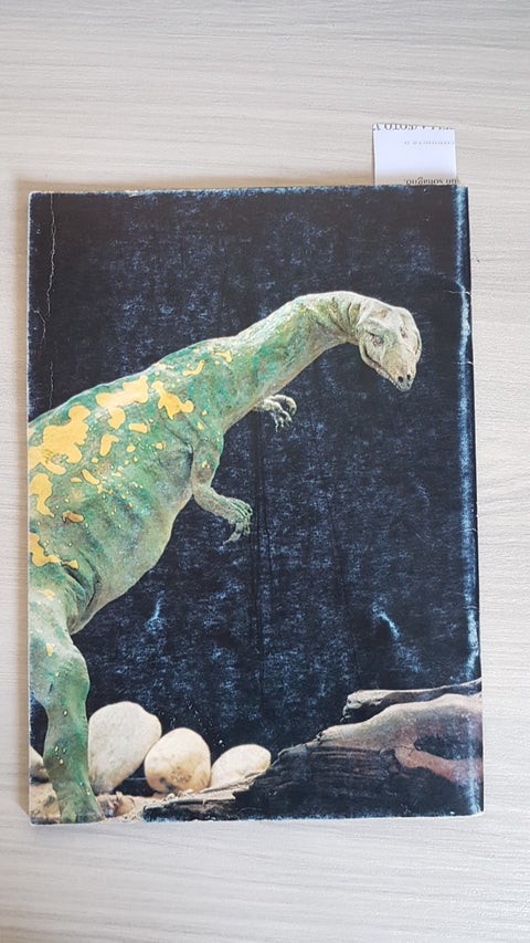 DINOSAURI - ARDUINI - GUIDA ALLA SALA DEL MUSEO CIVICO MILANO - GIUNTI - 1982