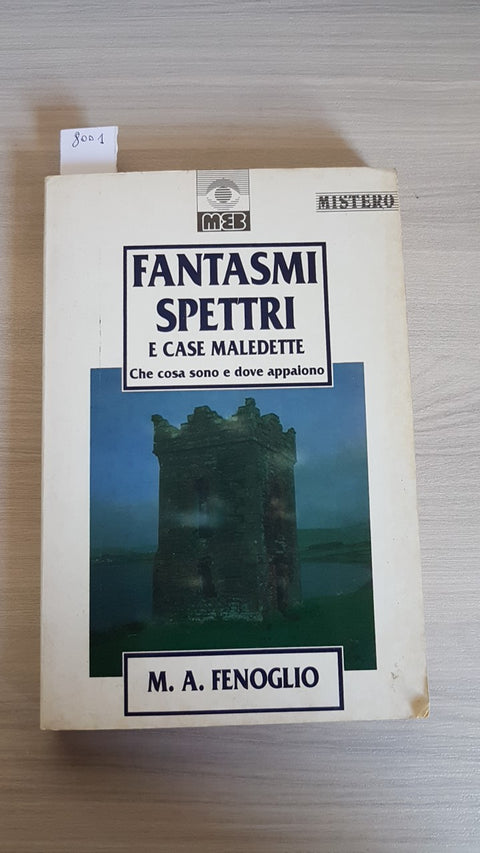 FANTASMI SPETTRI E CASE MALEDETTE CHE COSA SONO E DOVE APPAIONO - FENOGLIO - MEB