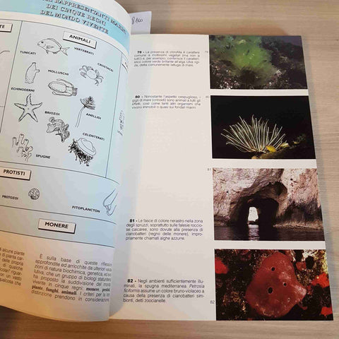 GUIDA DEL SUBACQUEO NATURALISTA MEDITERRANEO E TROPICI 1998 Bianchi NUORO sardo