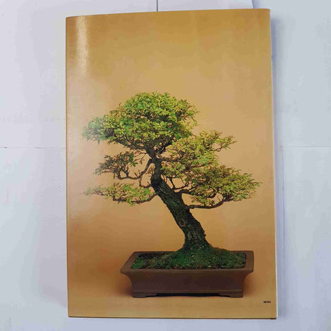 BONSAI Christine Stewart serie Gorlich 1985 potatura PINO ACERO FAGGIO