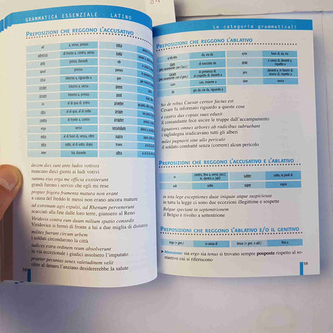 GRAMMATICA ESSENZIALE di LATINO apprendimento rapido 2012 DE AGOSTINI - Mosca